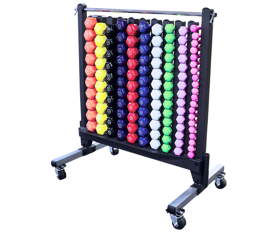 Body Solid GDR500 Commercial Dumbbell Rack (New)