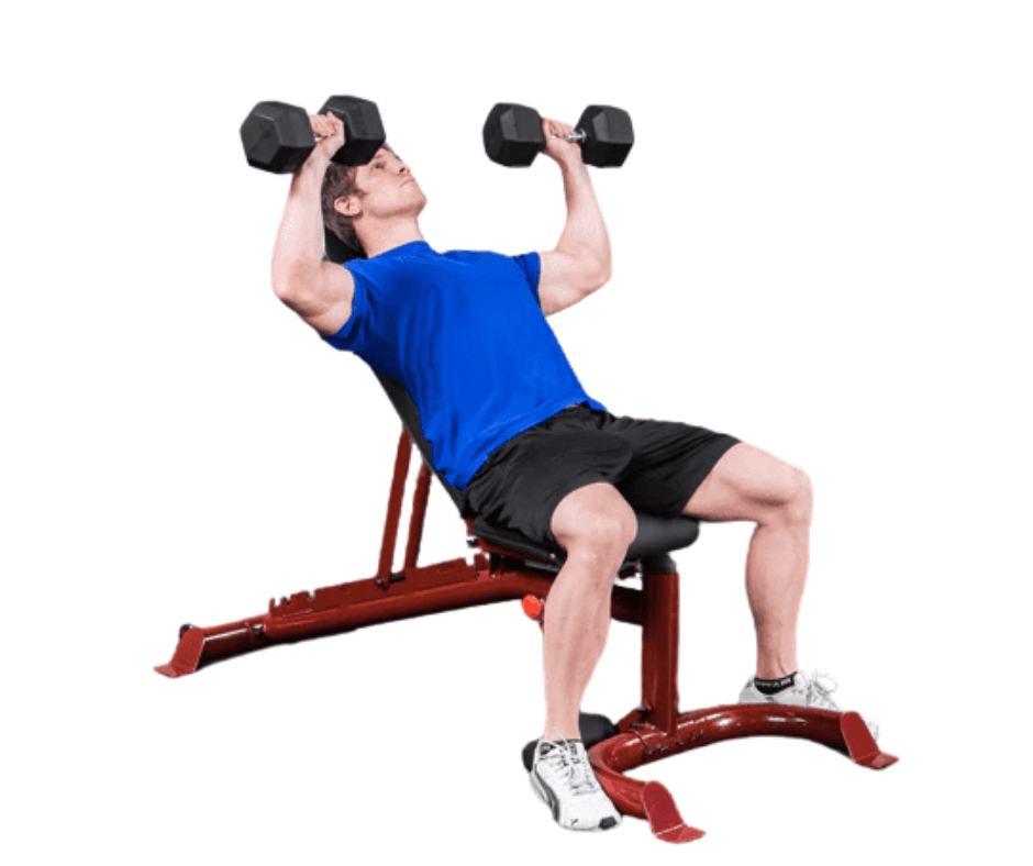 Body-Solid Flat Incline Decline Bench GFID100 (New) Image 3
