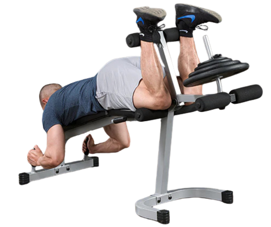 Body-Solid PLCE165X Powerline Leg Extension & Curl Machine (New)