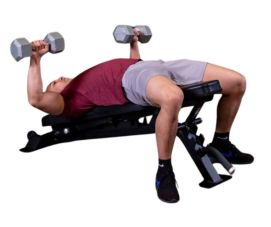 Body-Solid SFID325B Pro Clubline Adjustable Commercial Bench (New) Image 6