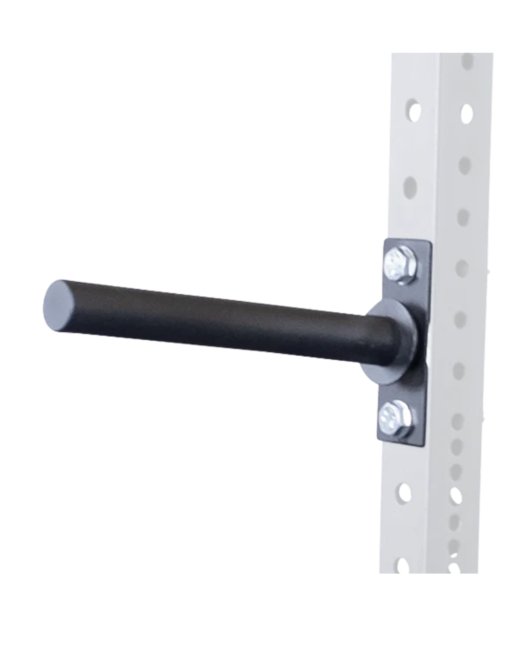 Body-Solid SPRWPH Weight Plate Horns Attachment