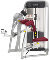 Cybex Eagle Arm / Bicep Curl 11070 (Remanufactured)