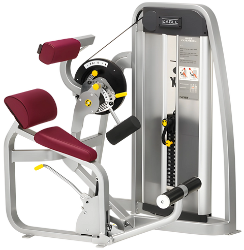 Cybex Eagle Back Extension 11101 (Remanufactured) - Angled View