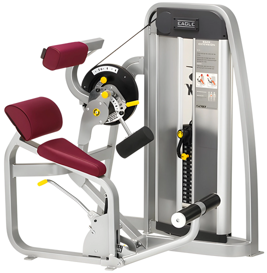 Cybex Eagle Back Extension 11101 (Remanufactured)
