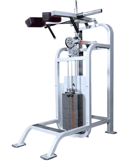 Cybex VR Standing Calf (Remanufactured)