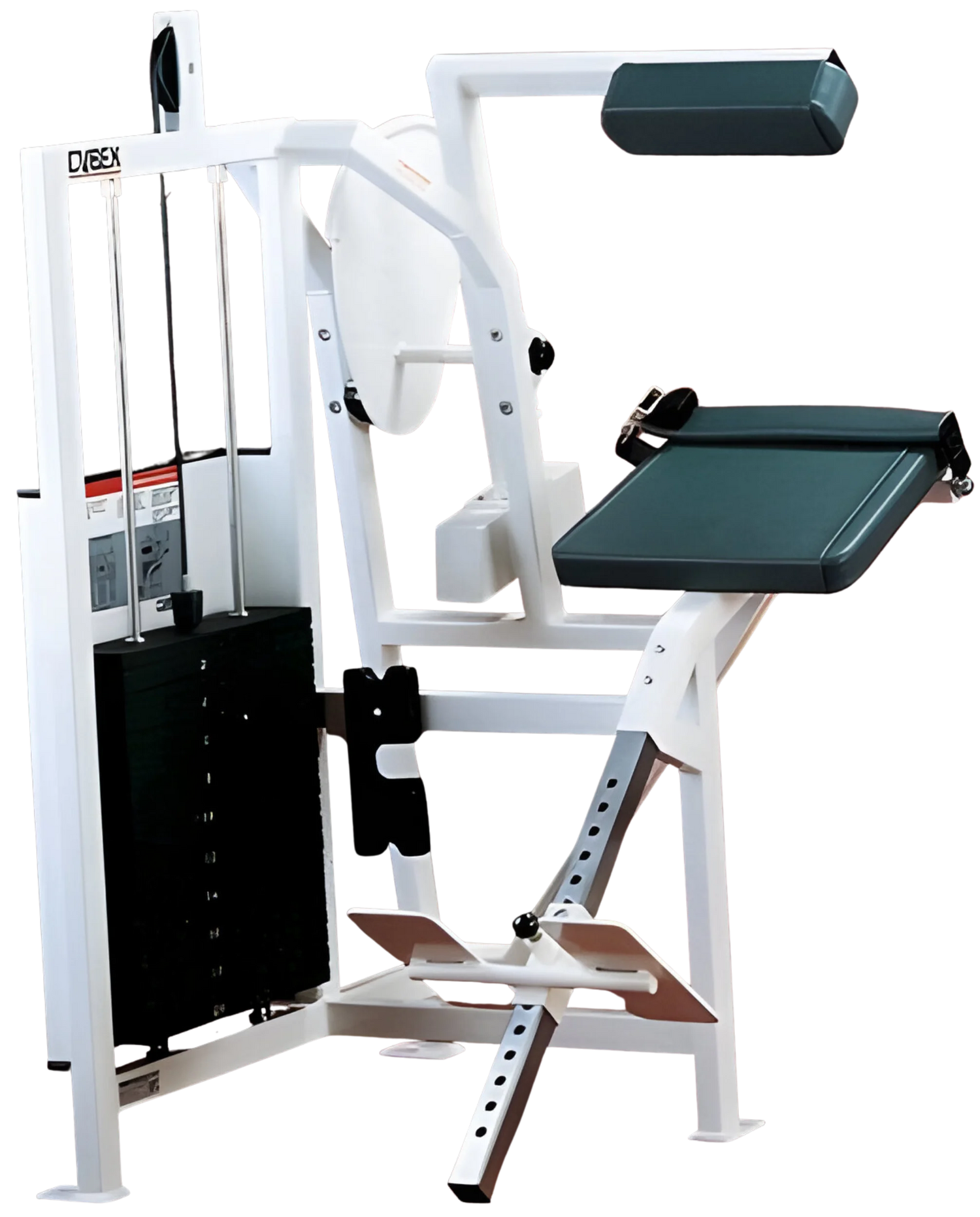Cybex Classic Back Extension (Remanufactured) - Angled View