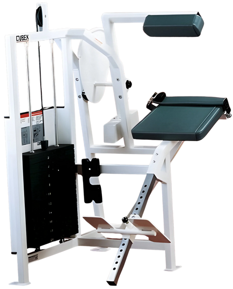 Cybex Classic Back Extension (Remanufactured) - Angled View