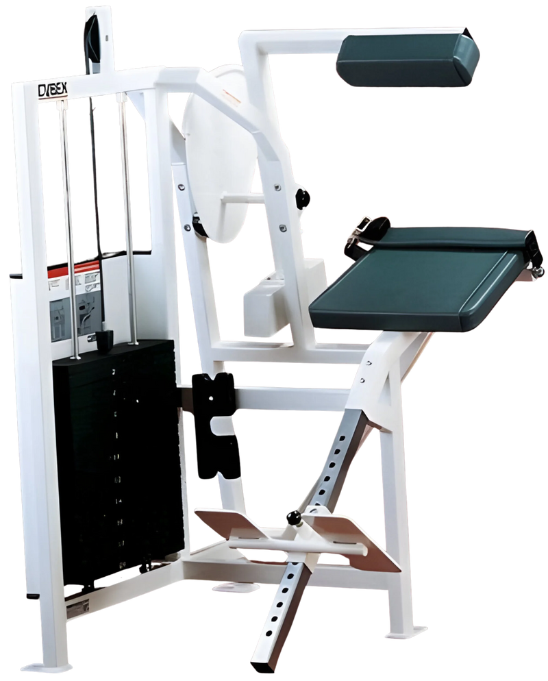 Cybex Classic Back Extension (Remanufactured) - Angled View