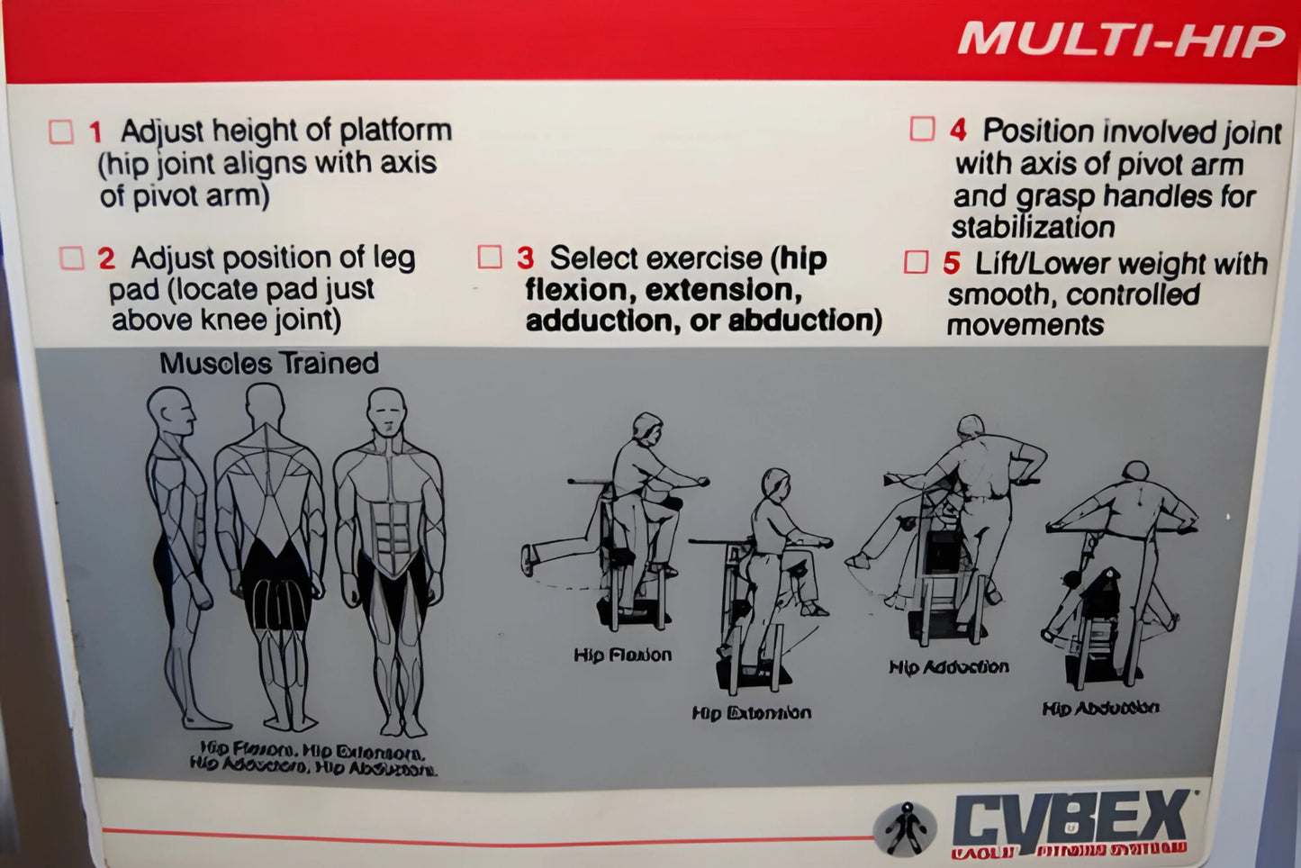 Cybex Classic Multi Hip (Remanufactured)