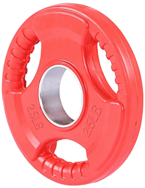 French Fitness Colored Rubber Grip Olympic Plate 2.5 lbs (New)