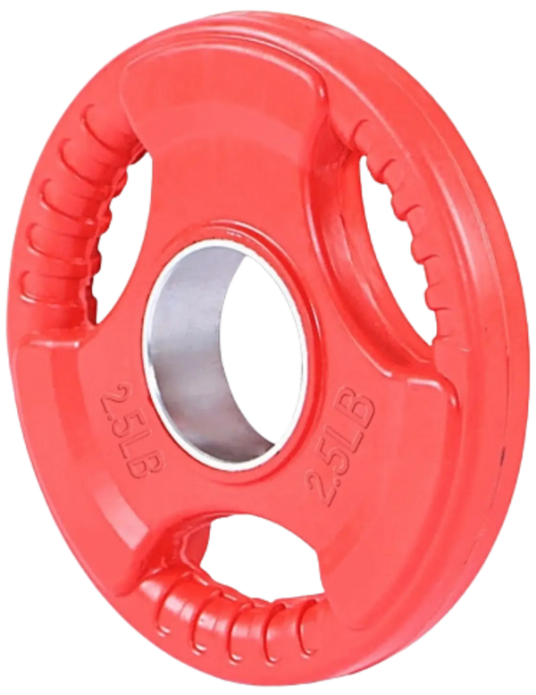 French Fitness Colored Rubber Grip Olympic Plate 2.5 lbs - Angled View