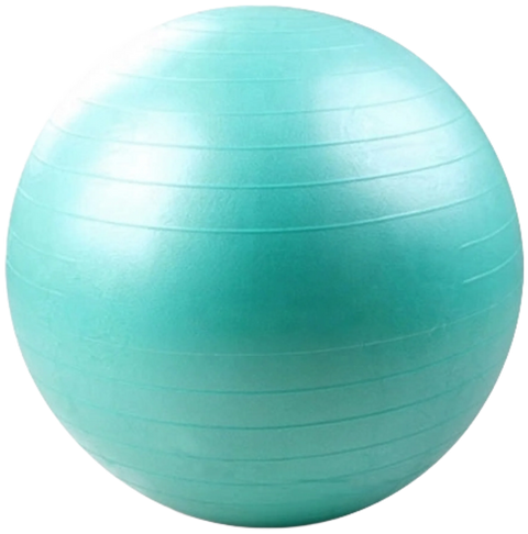 French Fitness Anti Burst Stability Exercise Ball 55cm (New)