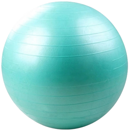 French Fitness Anti Burst Stability Exercise Ball 55cm (New)