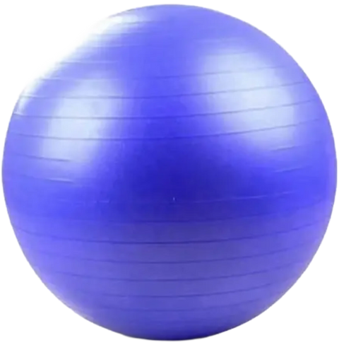 French Fitness Anti Burst Stability Exercise Ball 65cm (New)