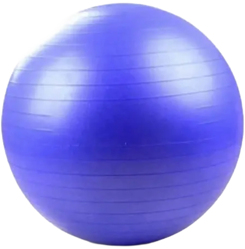 French Fitness Anti Burst Stability Exercise Ball 65cm (New)