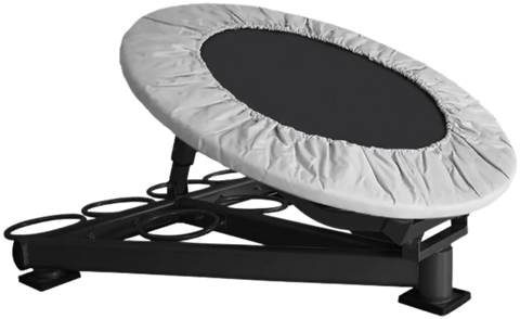 French Fitness MBR500 Medicine Ball Rebounder (New)