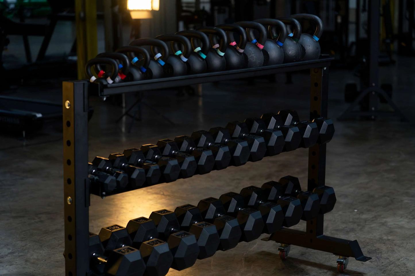 French Fitness Monster Universal Storage System - Angled View