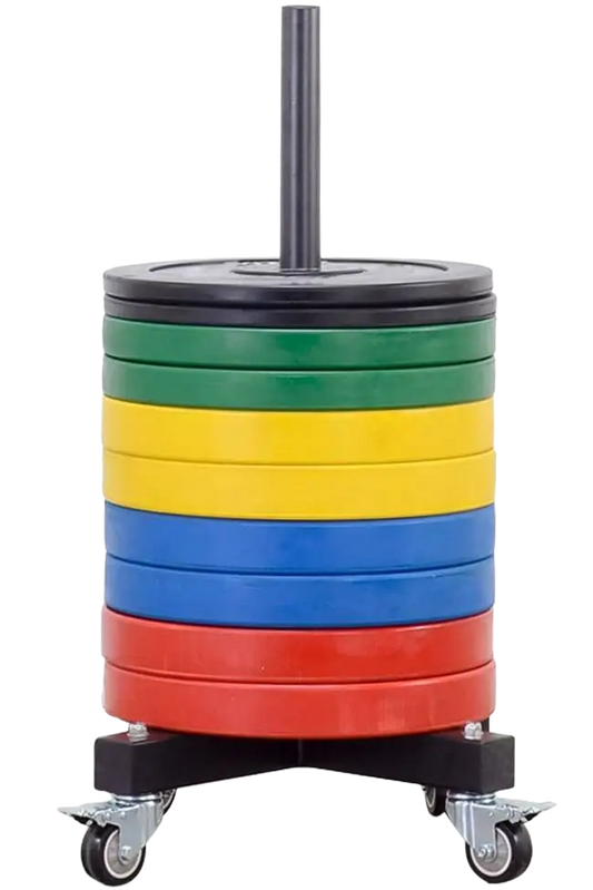 French Fitness Portable Bumper Plate Stacker Rack w/Wheels (New)