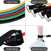 Resistance Band Set, 5 Pack (10lb/15lb/20lb/25lb/30lb) French Fitness - Infographics