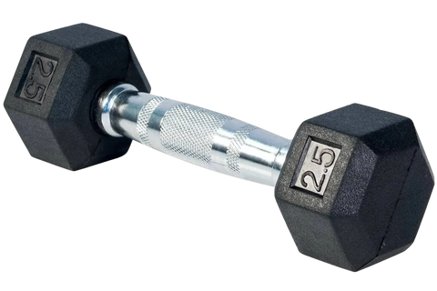 Rubber Coated Hex Dumbbells French Fitness - Angled VIew