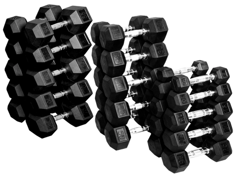Rubber Coated Hex Dumbbells French Fitness 5 - 75 lbs Set - Angled View