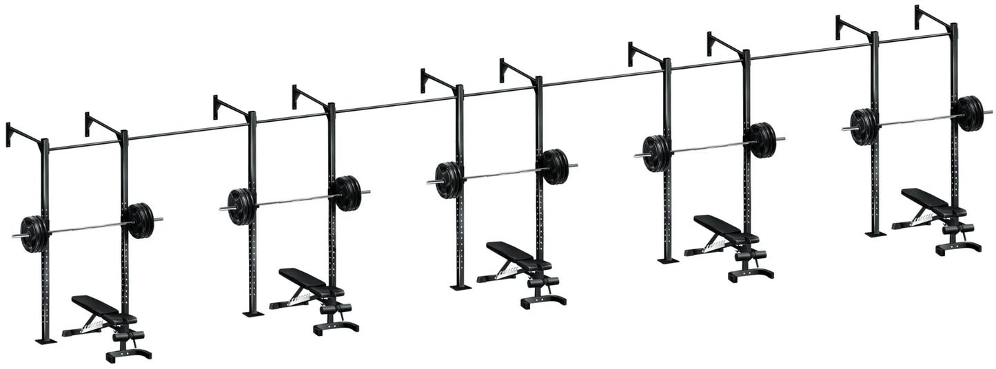 French Fitness Wall Mount Rig & Rack System 1 (New)