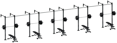 French Fitness Wall Mount Rig & Rack System 1 (New)