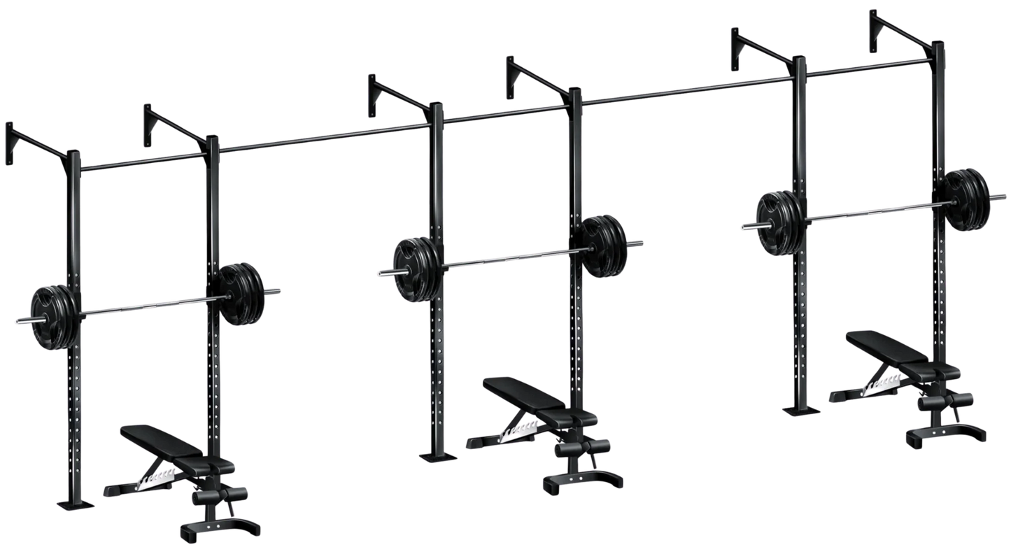 French Fitness Wall Mount Rig & Rack System 1 (New)
