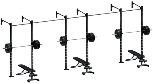 French Fitness Wall Mount Rig & Rack System 1 (New)