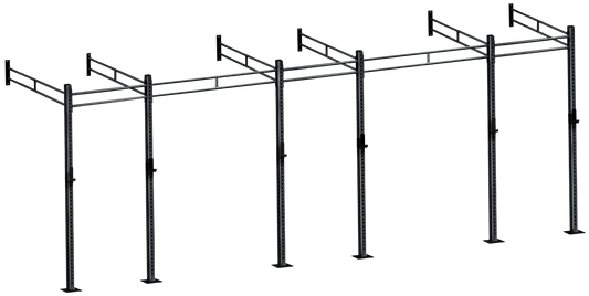 French Fitness Wall Mount Rig & Rack System 23 (New)