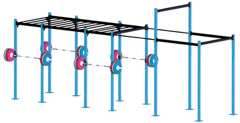 French Fitness Free Standing Rig 4 (New)