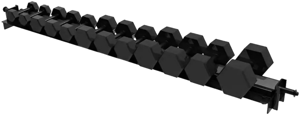 French Fitness 71" Rack & Rig Dumbbell Tier/Tray Attachment - Angled View