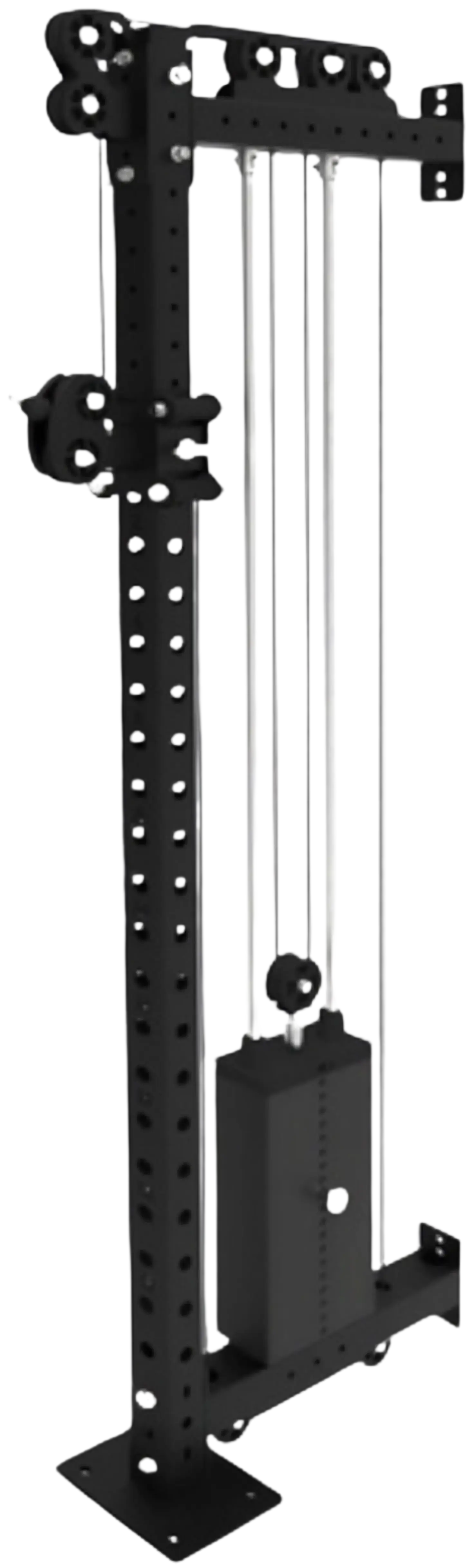 French Fitness Rack & Rig Rack Mounted Cable Column (New) Image