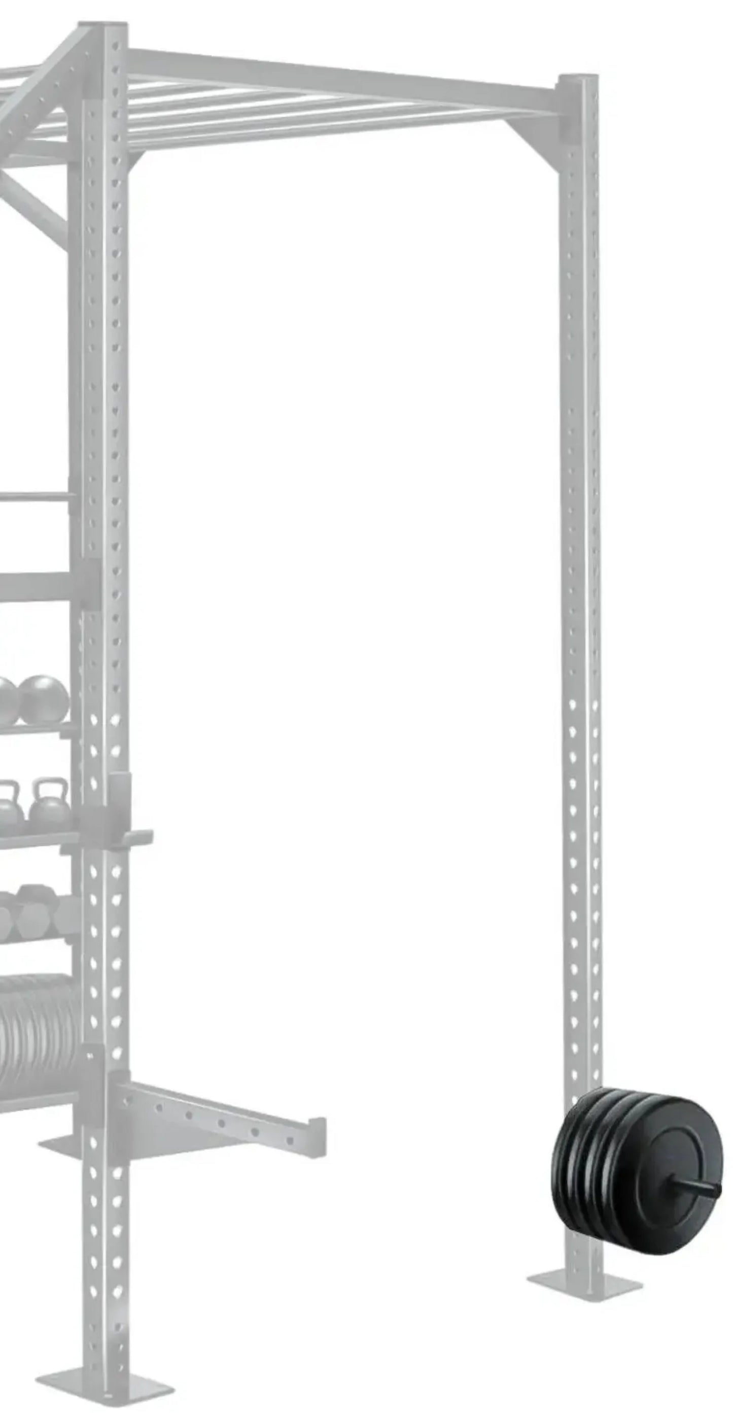 French Fitness Rack & Rig 14" Weight Storage Horn Attachment (New)