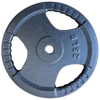French Fitness Standard Cast Iron 1" Weight Plate 25 lbs (New)