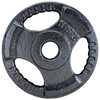 French Fitness Standard Cast Iron 1" Weight Plate 2.5 lbs (New)
