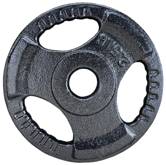 French Fitness Standard Cast Iron 1" Weight Plate 2.5 lbs (New)