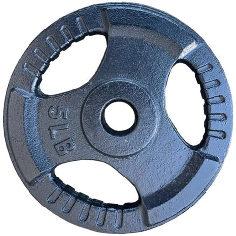 French Fitness Standard Cast Iron 1" Weight Plate Set  350 lbs (New) Image 6