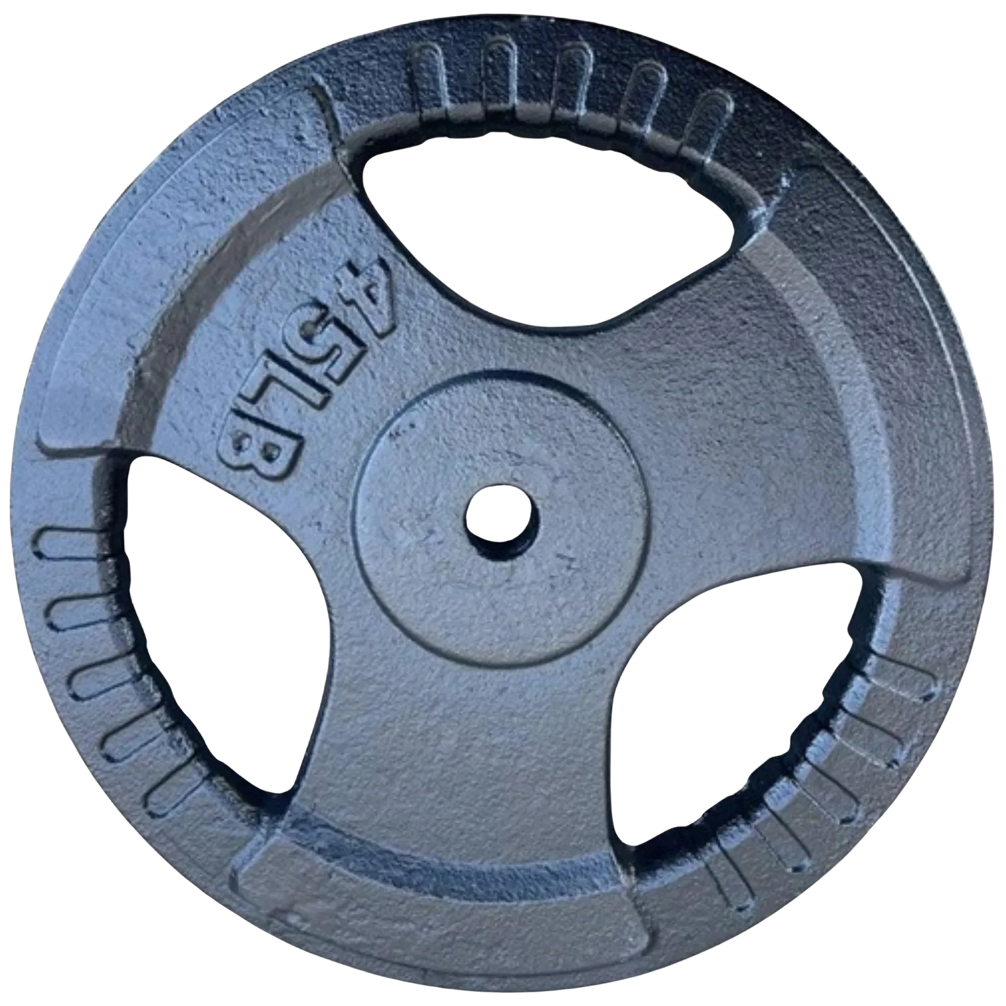 French Fitness Standard Cast Iron 1" Weight Plate 45 lbs (New)