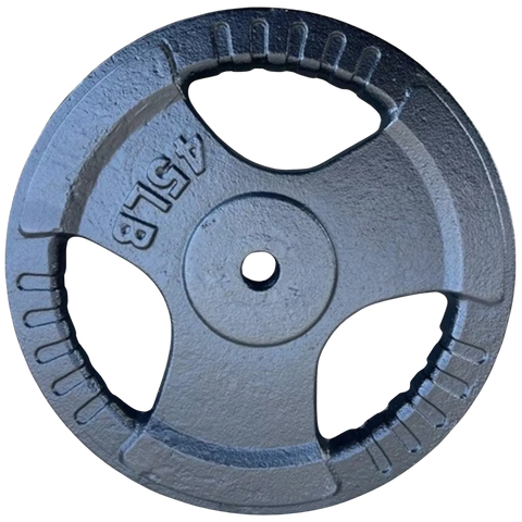 French Fitness Standard Cast Iron 1" Weight Plate 45 lbs (New)