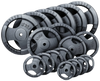 French Fitness Standard Cast Iron 1" Weight Plate Set 450 lbs (New) Image