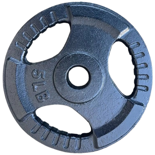 French Fitness Standard Cast Iron 1" Weight Plate 5 lbs (New)