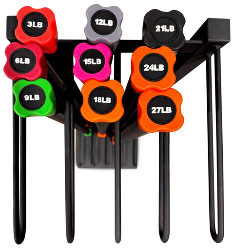 French Fitness Weighted Body Fitness Bar Rack (New)