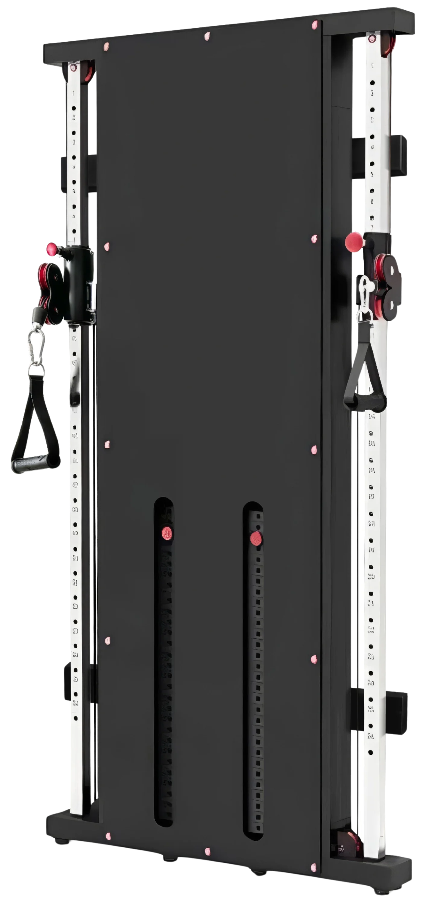 French Fitness Wall Mounted Dual Cable Column Component (New)