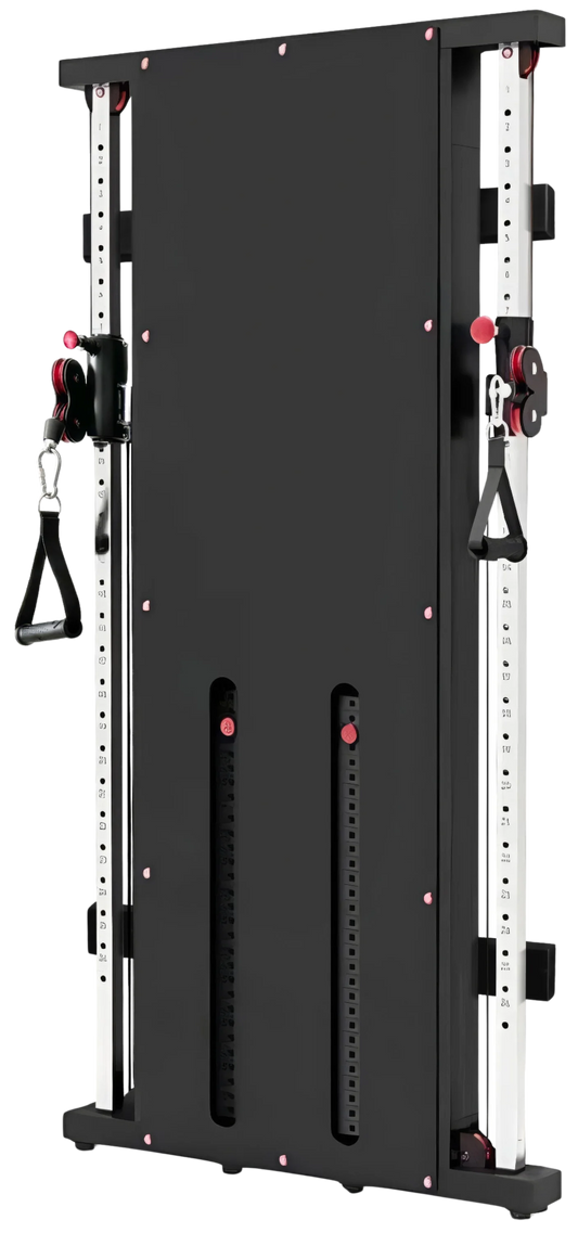 French Fitness Wall Mounted Dual Cable Column Component (New)
