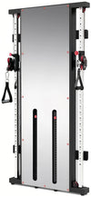French Fitness Wall Mounted Mirror Functional Trainer (New)