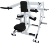 French Fitness Napa Seated Dip / Tricep Press Plate Loaded (New) Image