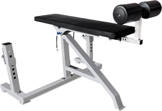 French Fitness Napa Seal Row Bench (New)