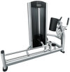 French Fitness FFS Silver Glute Machine (New)