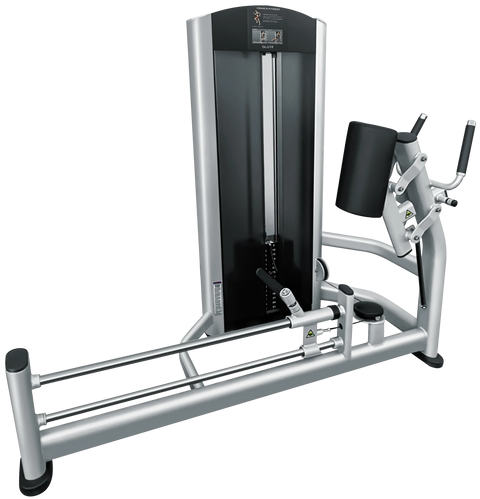 French Fitness FFS Silver Glute Machine (New)